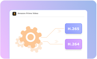 Códec de vídeo personalizable